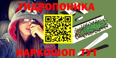 молекула духа Будённовск