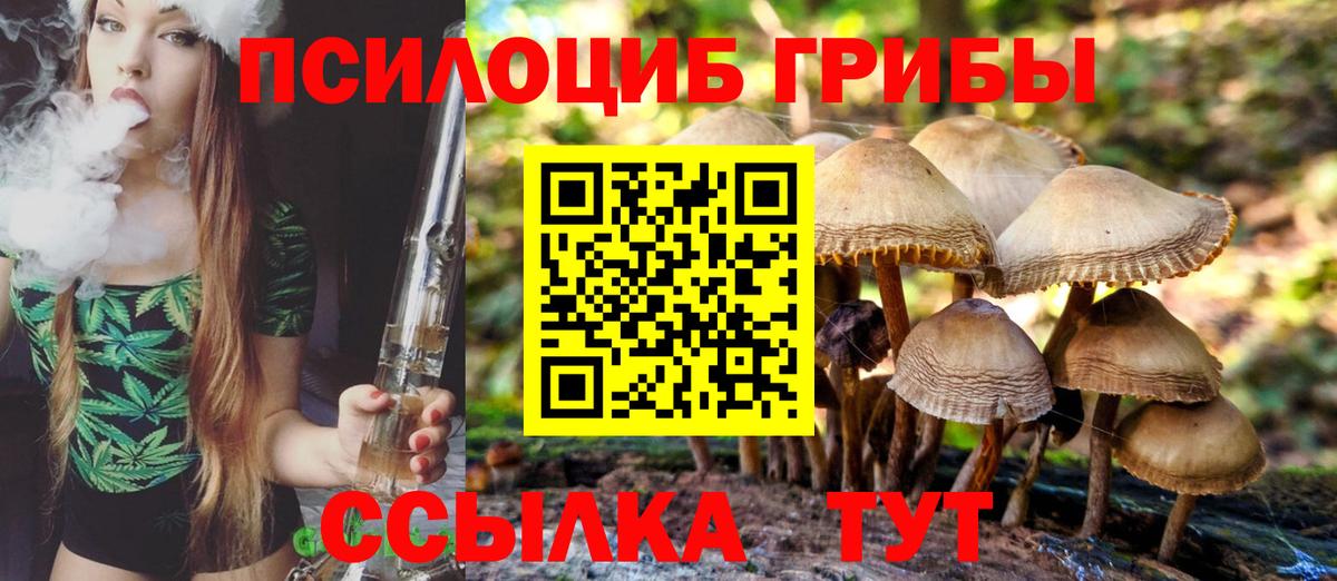 Псилоцибиновые грибы MAGIC MUSHROOMS  Вход с VPN  купить   Арсеньев  Галлюциногенные грибы Cubensis 